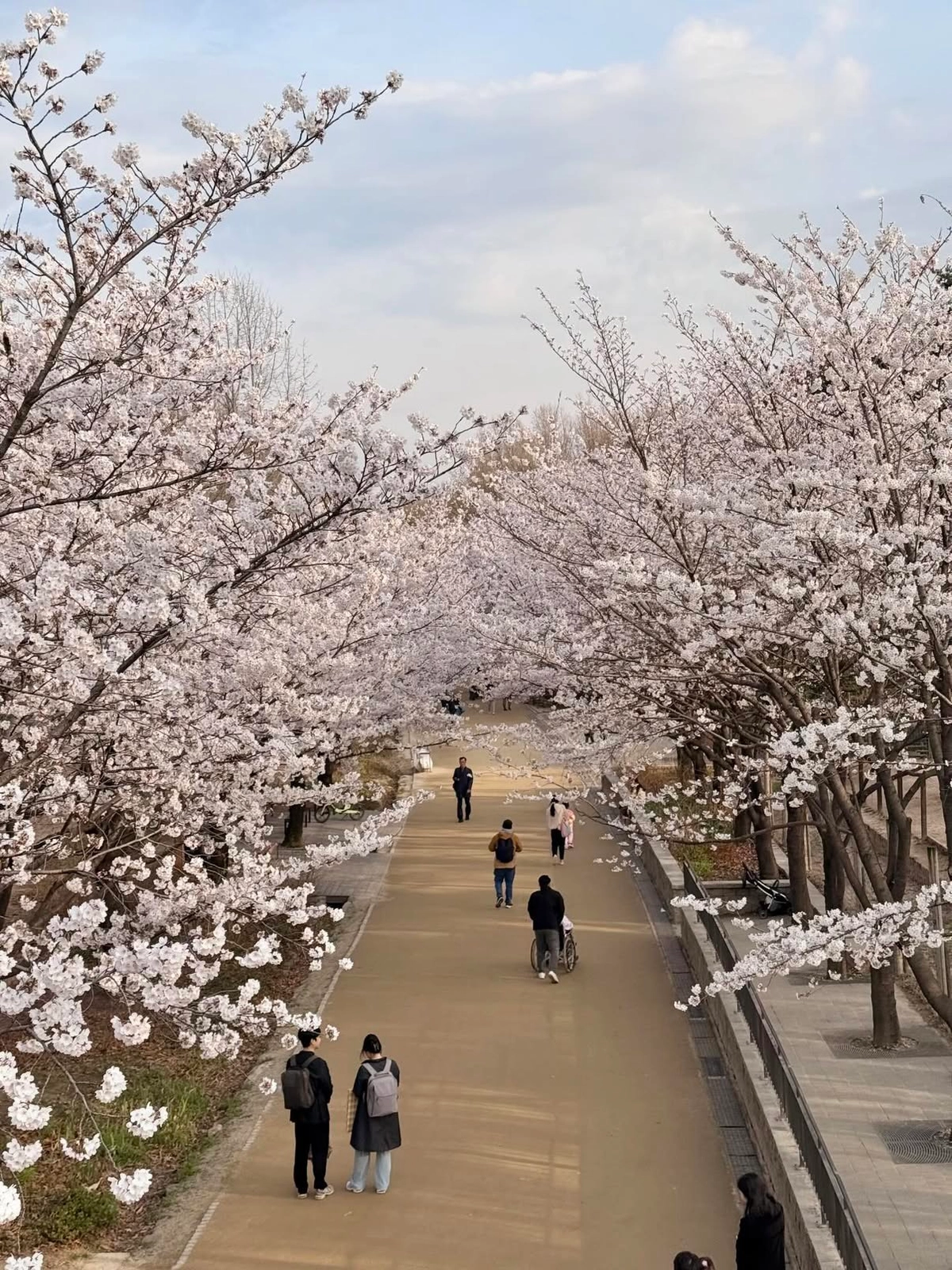 Seoul Forest 6