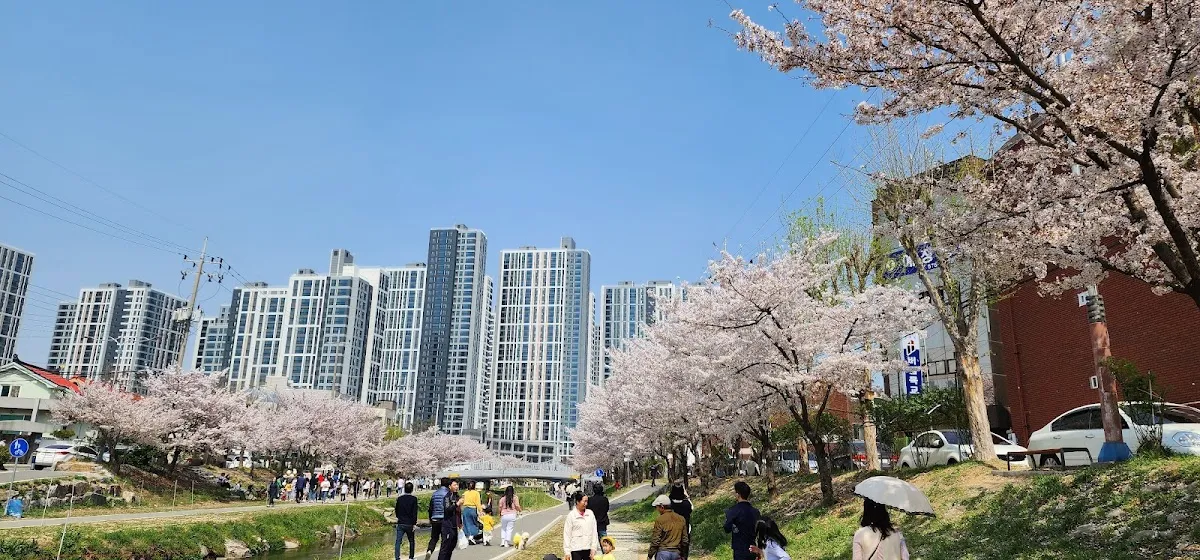 Wonseongcheon 4