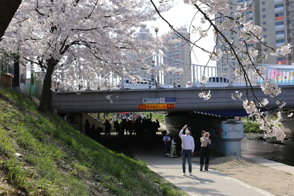 Wonseongcheon 5