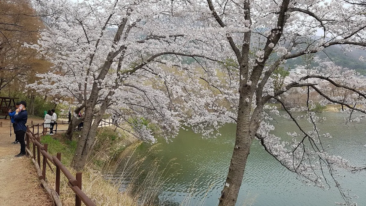 余佐川 2