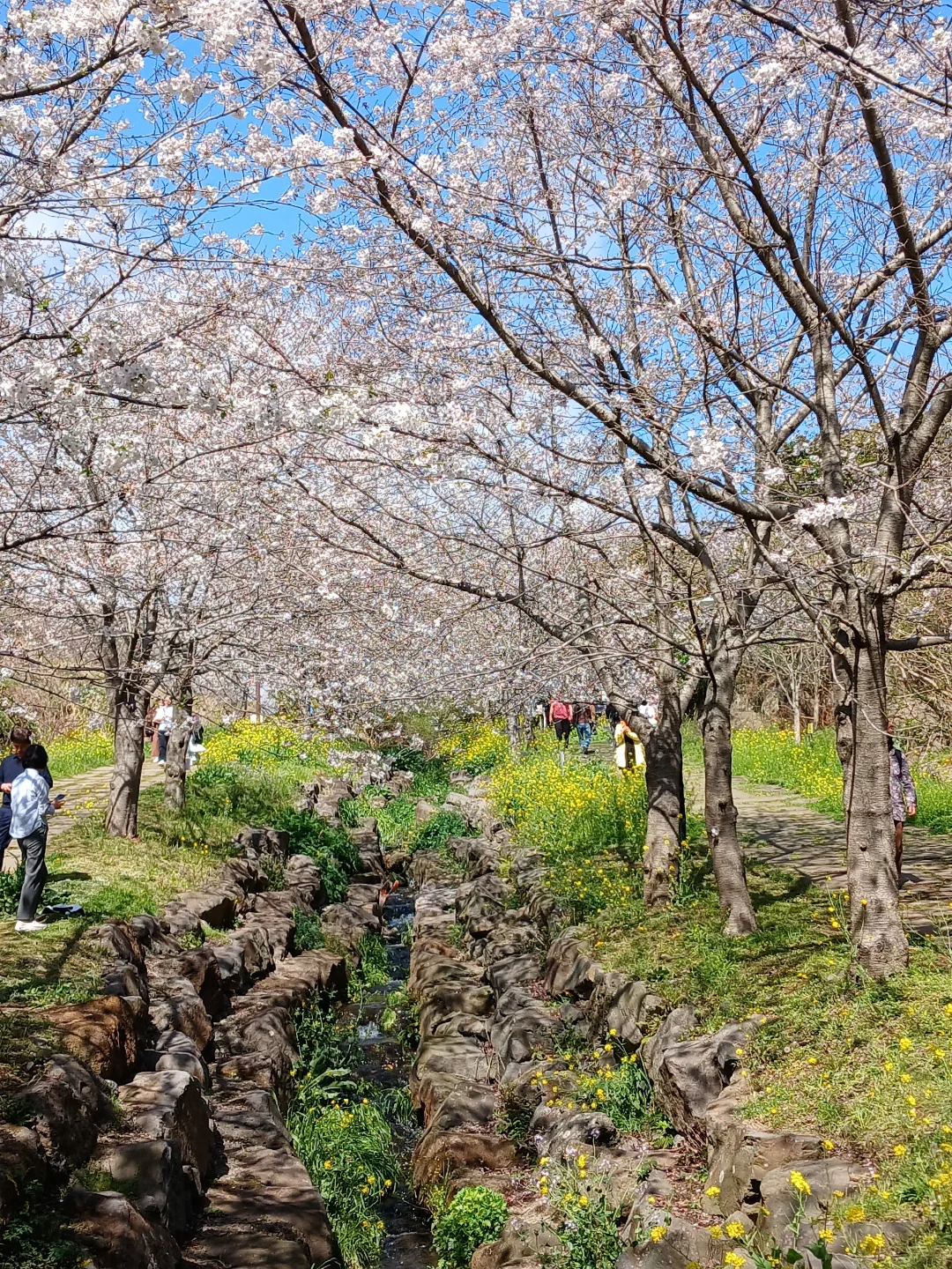 艺来生态公园 5