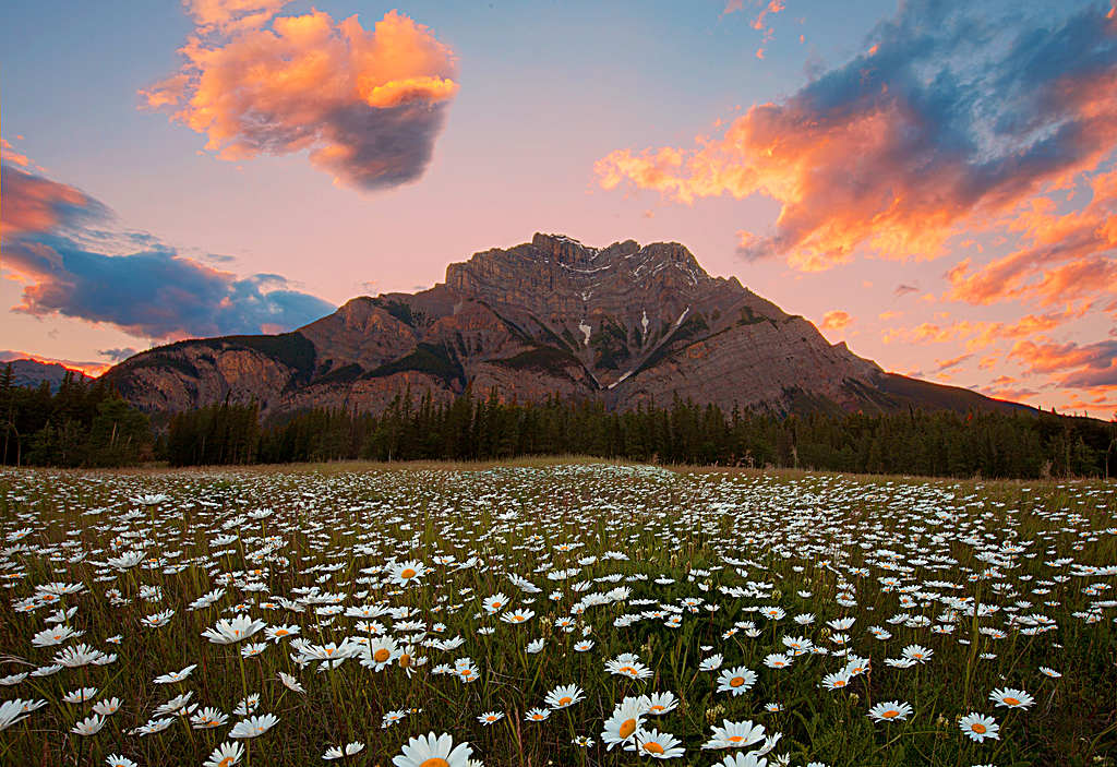 Explore Banff National Park