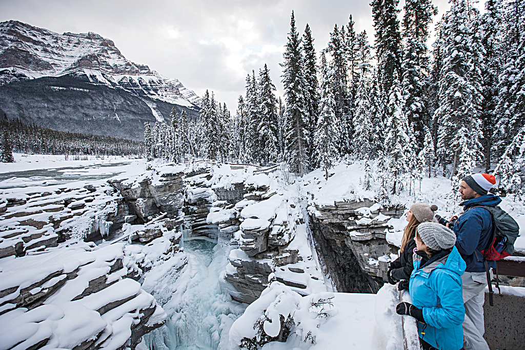 winter train trip through canadian rockies