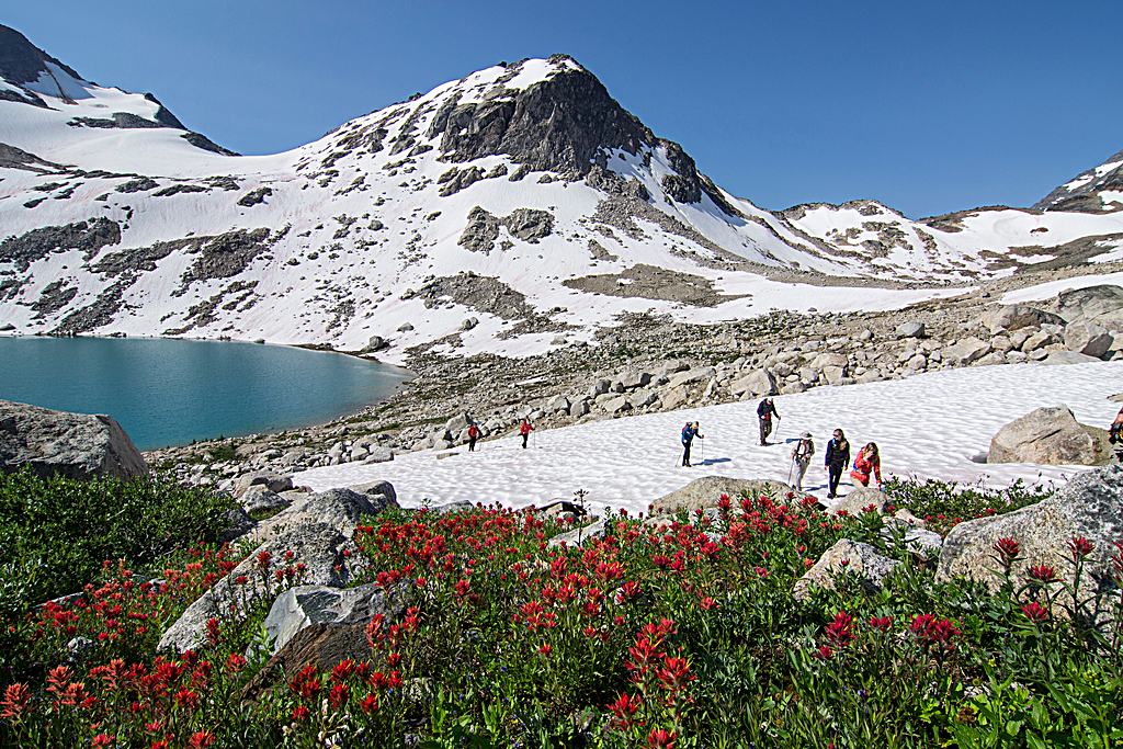 Heli-Lodge Adventure Continues