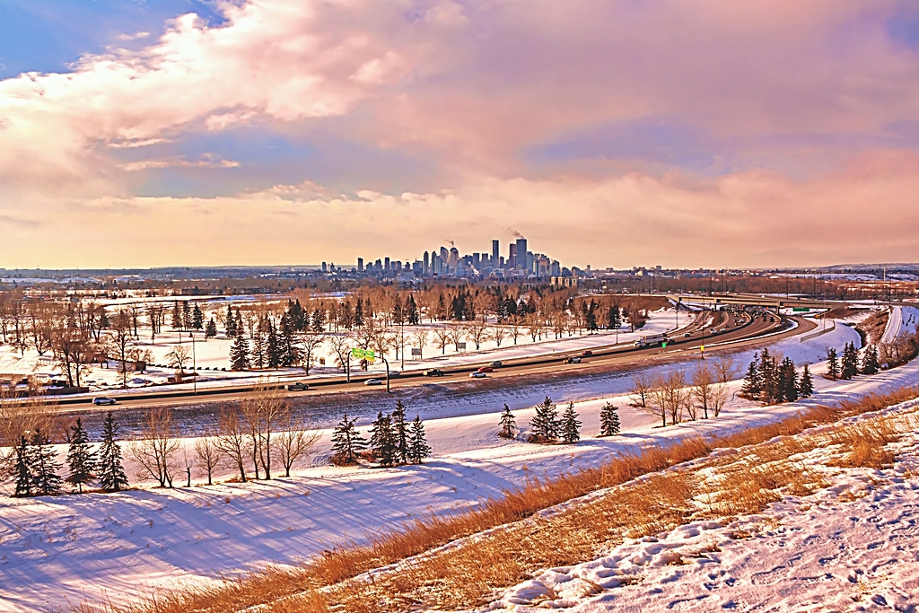 Arrive in Calgary