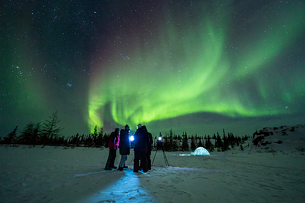 Dogsledding and Northern Lights viewing