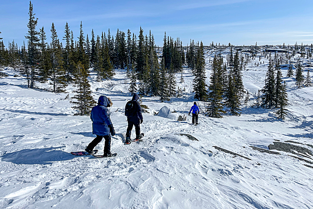 Explore Churchill's boreal forest