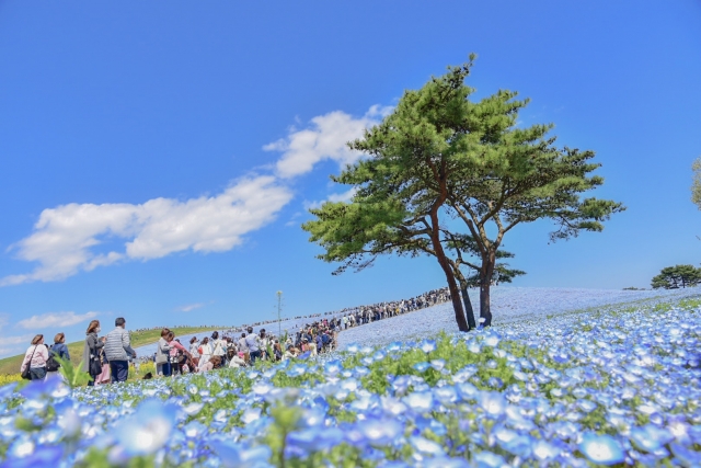 常陸海濱公園