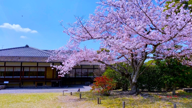 日本庭園