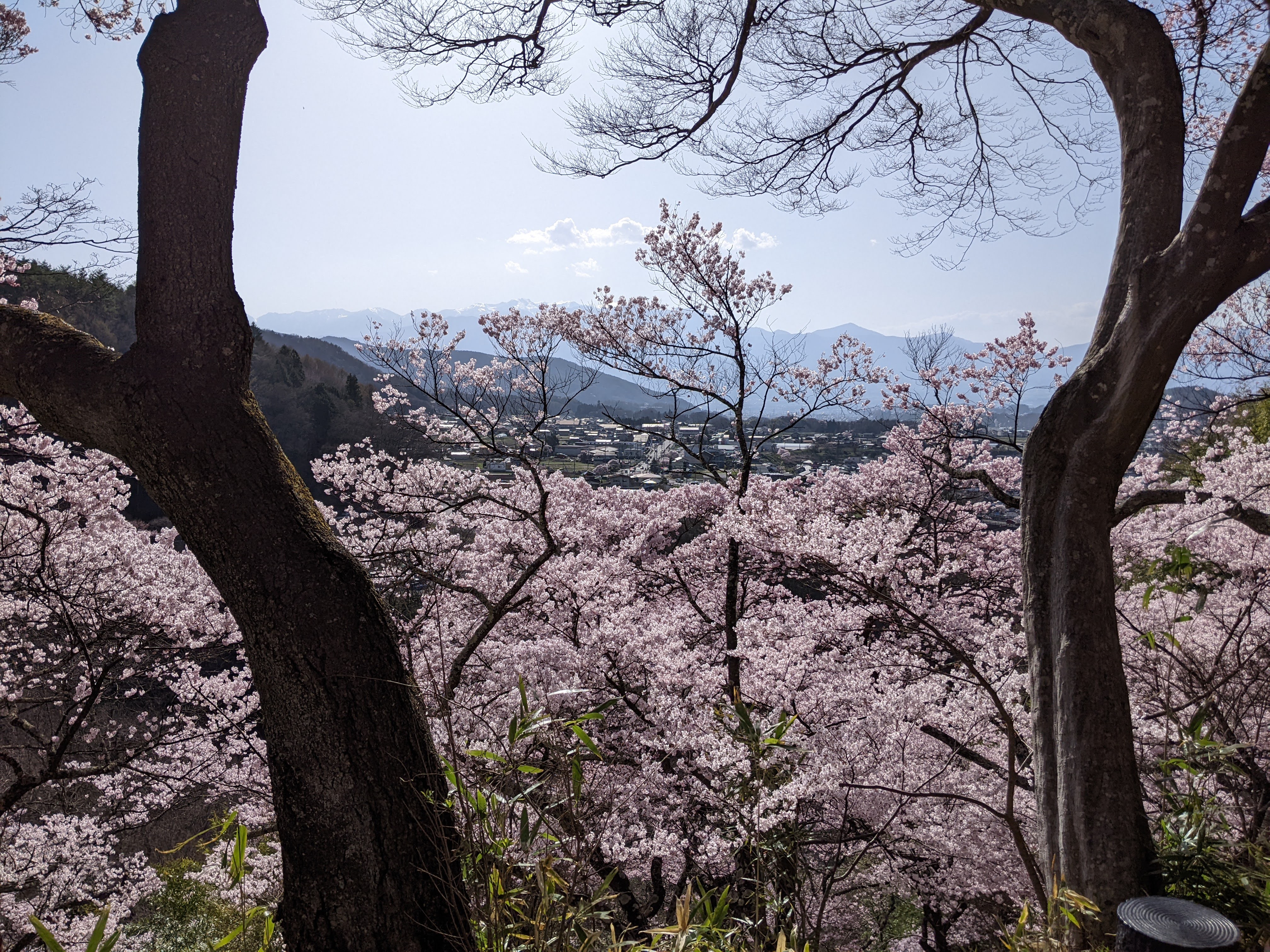 高遠城址公園