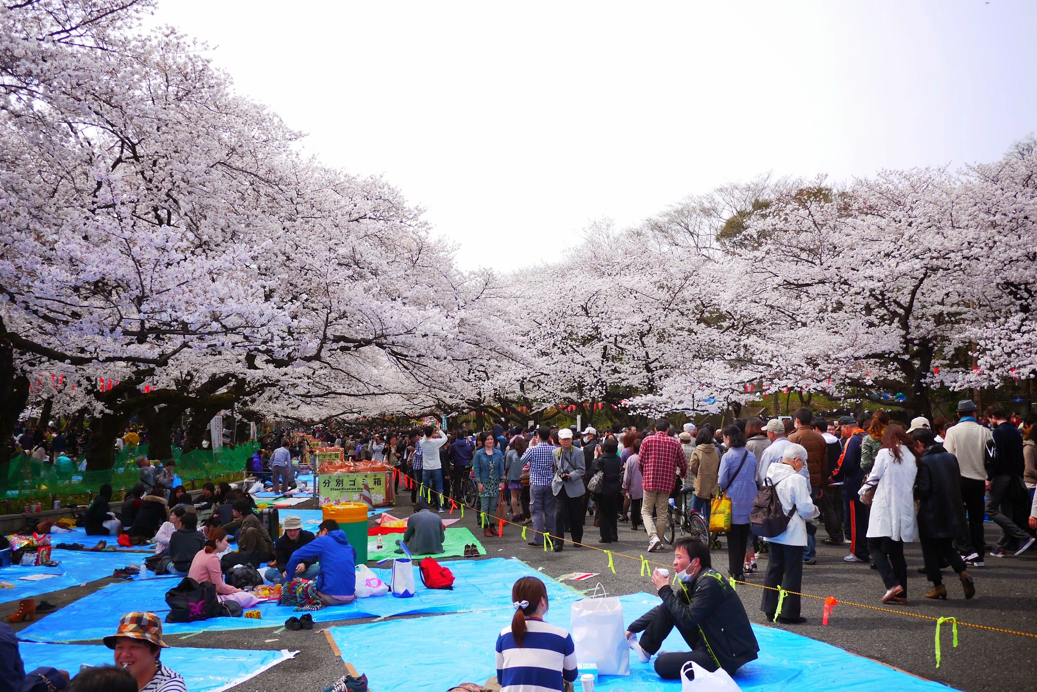 上野恩賜公園