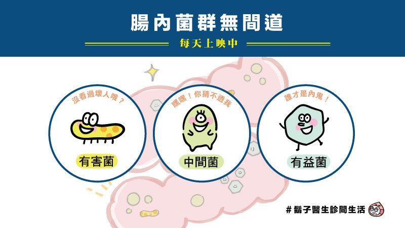 何時是補充「益生菌」的黃金期? 何時是補充「益生菌」的黃金期?