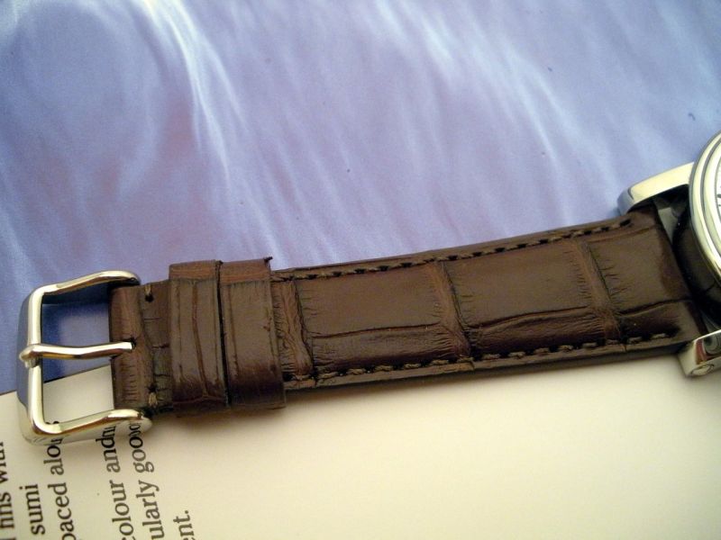 New brown gator with a simple tang buckle in stainless steel.