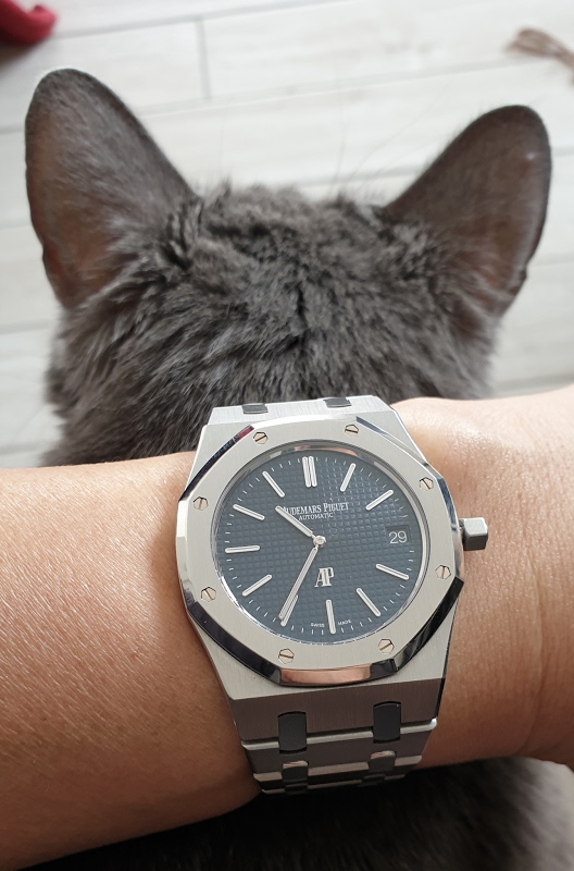 Audemars Piguet Royal Oak 15202: A Collector's Roll Call