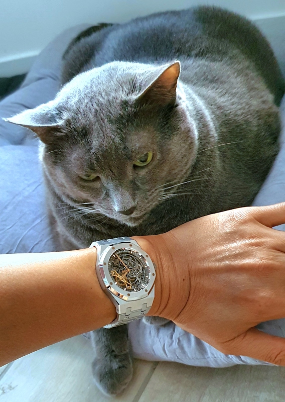 Audemars Piguet: Innovative Timepieces