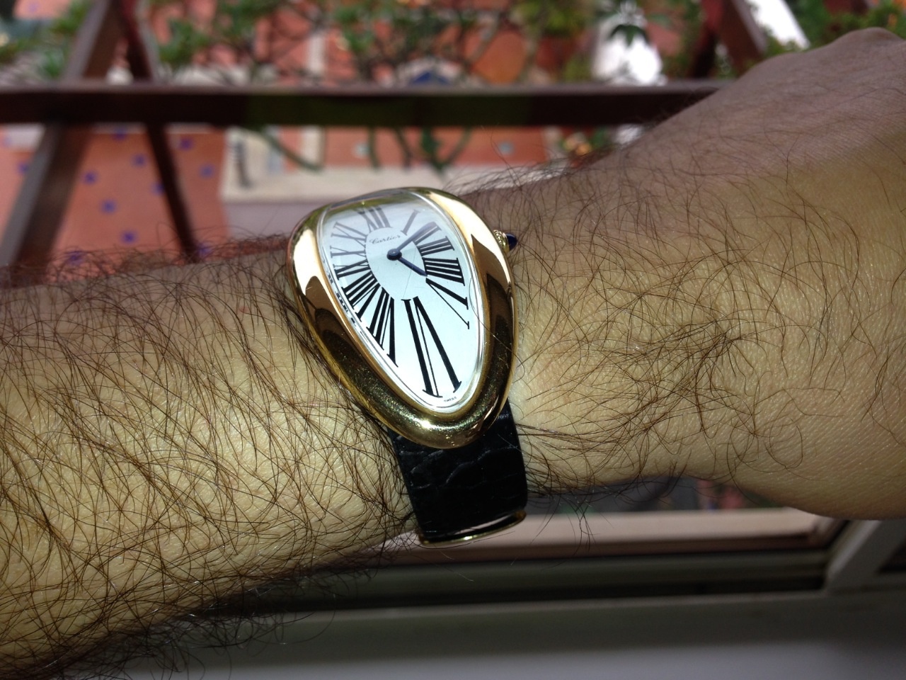 oval cartier watch