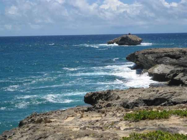 By the ocean in Oahu