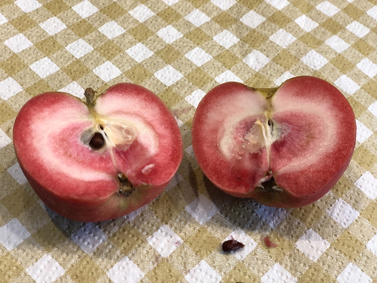 The Lucy Apple: A New Red-Fleshed Variety That Tastes Like