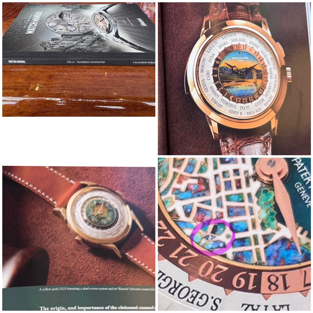 Patek Philippe World Time Ref. 5531 Enamel Dials Guide