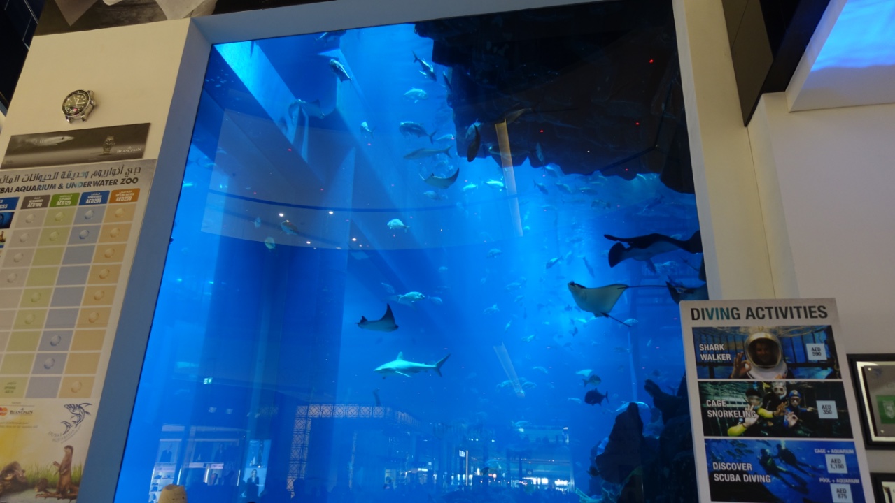 Aquarium inside Dubai Mall