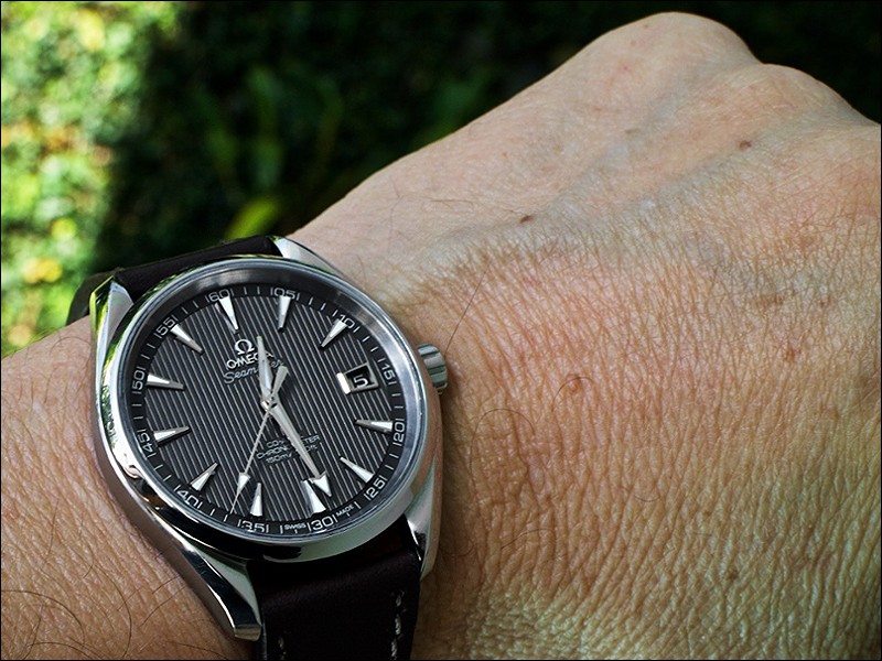 omega aqua terra wrist shot