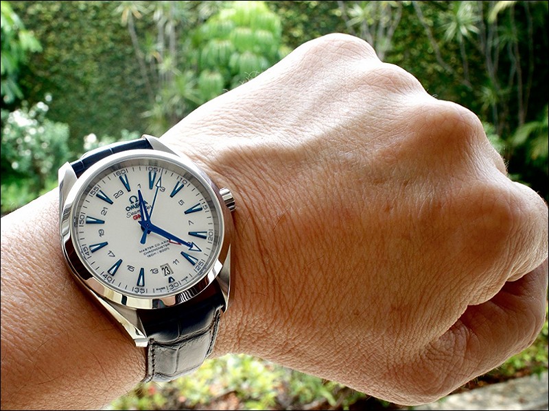 omega aqua terra gmt good planet