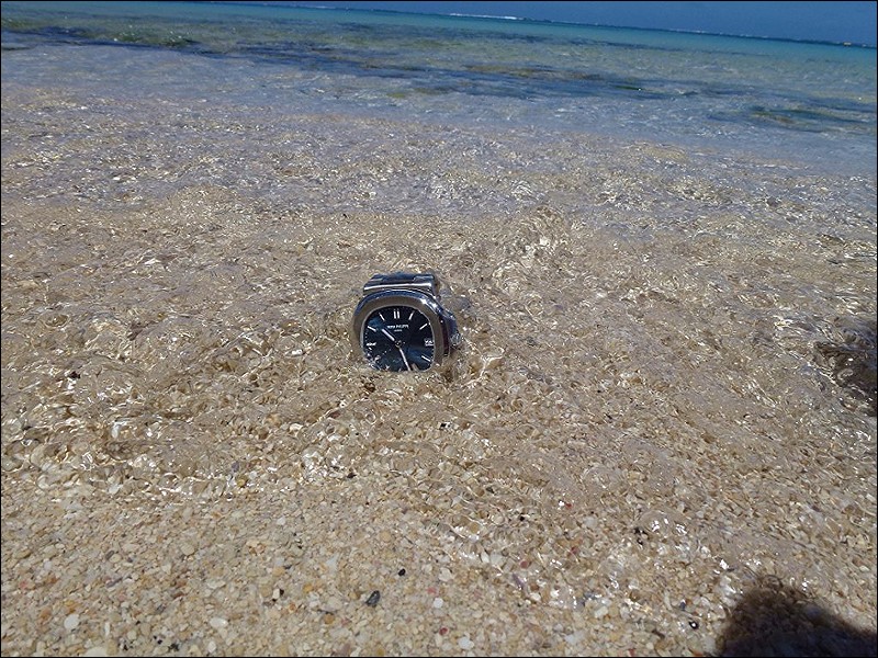 From ch9698: The elusive platinum Nautilus surfaced for a summer tan