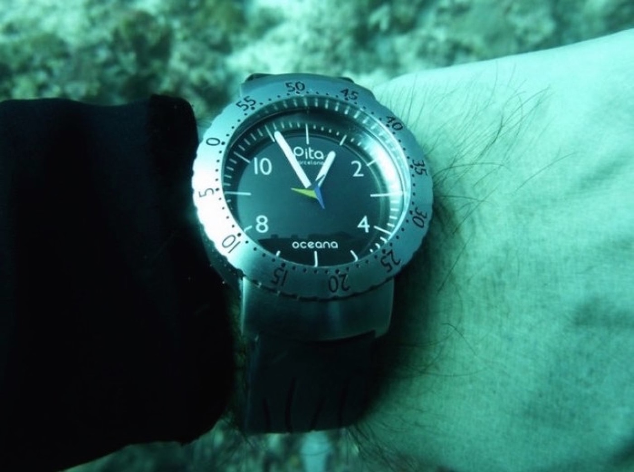 Oceana 3967 Quartz 42mm Diver – Stührling