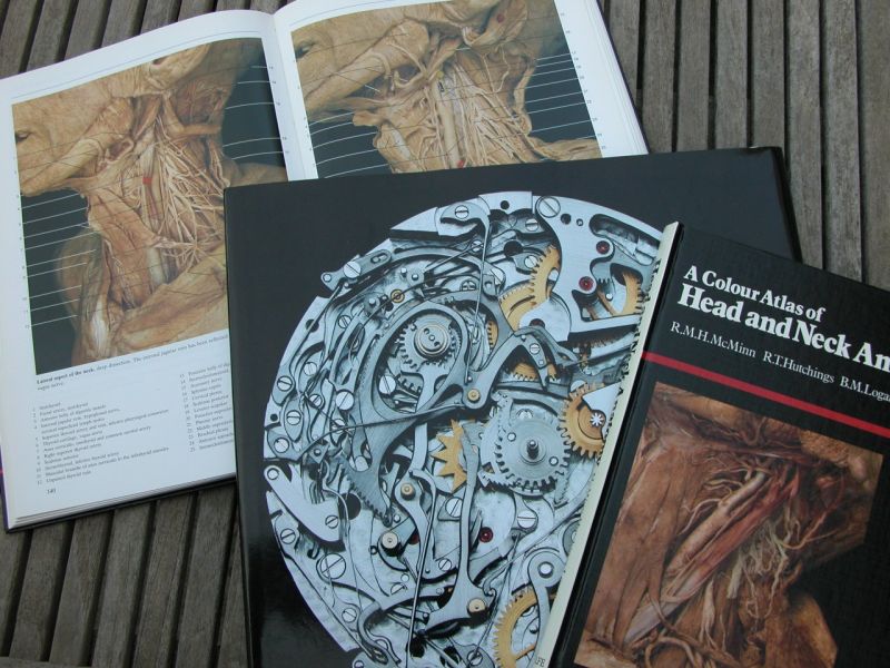 Horological Meandering - Horological Meandering -