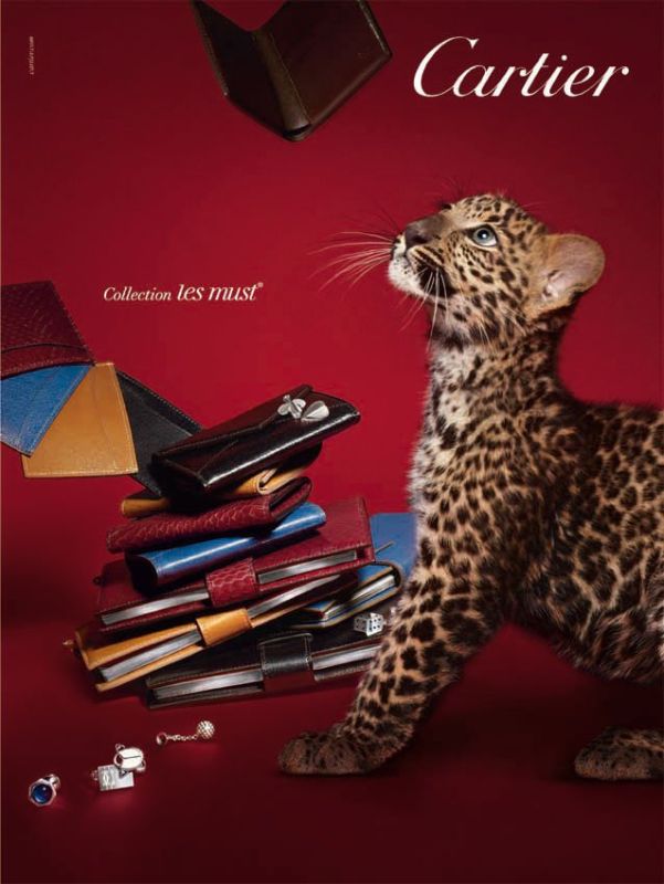 cartier collection les must