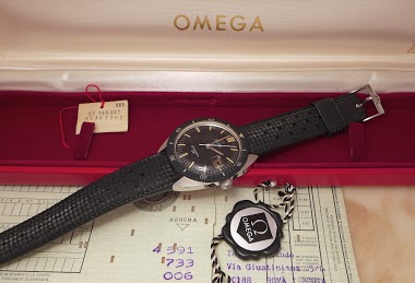 omega seamaster 120 cal 601