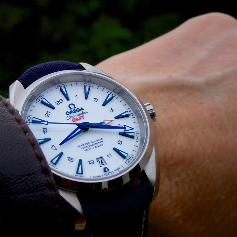 seamaster aqua terra goodplanet