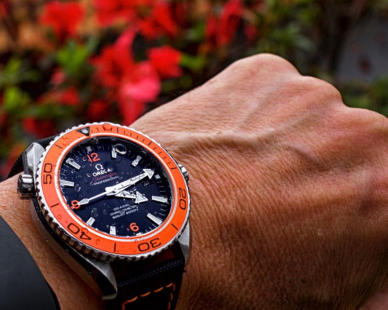 omega planet ocean 8500 45mm