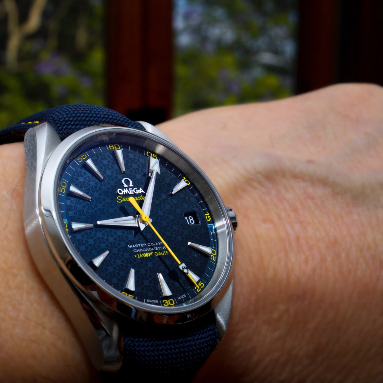 omega 15007 gauss