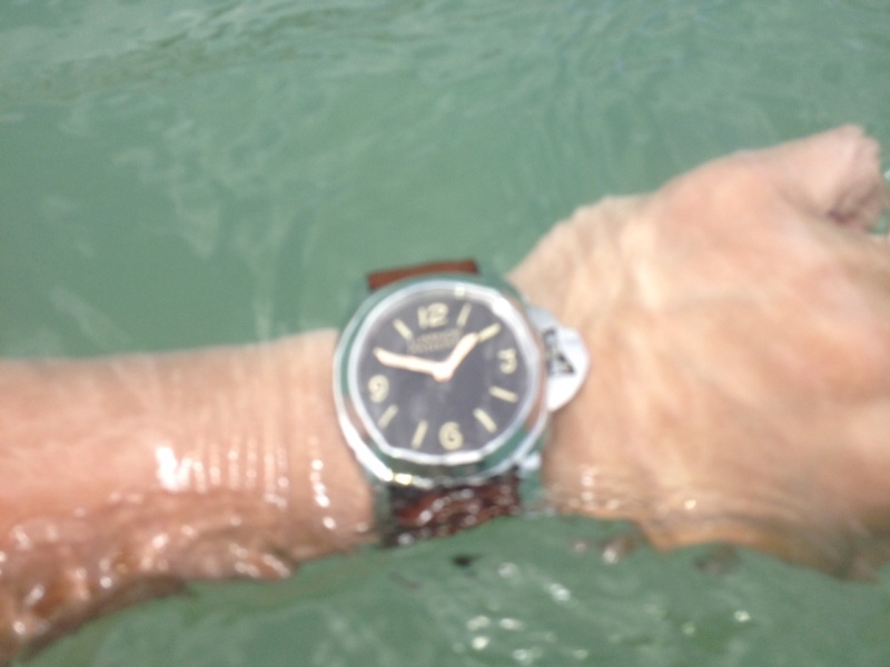 The PAM390 still works underwater