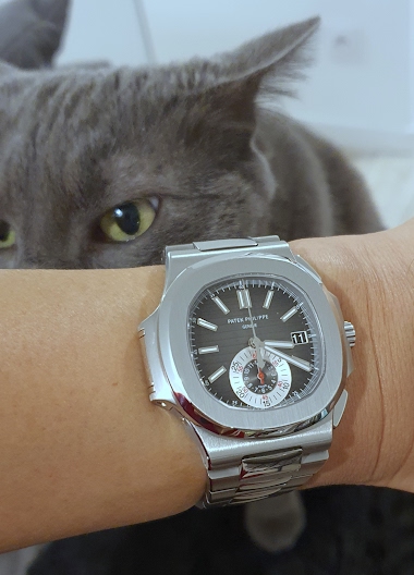 Patek Philippe Nautilus 'Jesse J': A Collector's Comfort Amidst Life's Challenges
