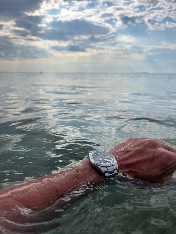 Rolex Dive Watch Collection