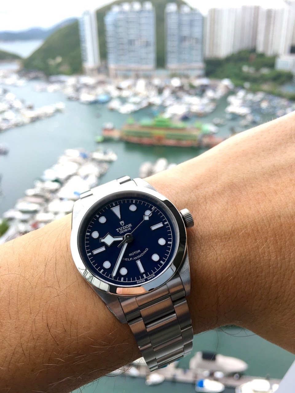 black bay 36 vs rolex explorer