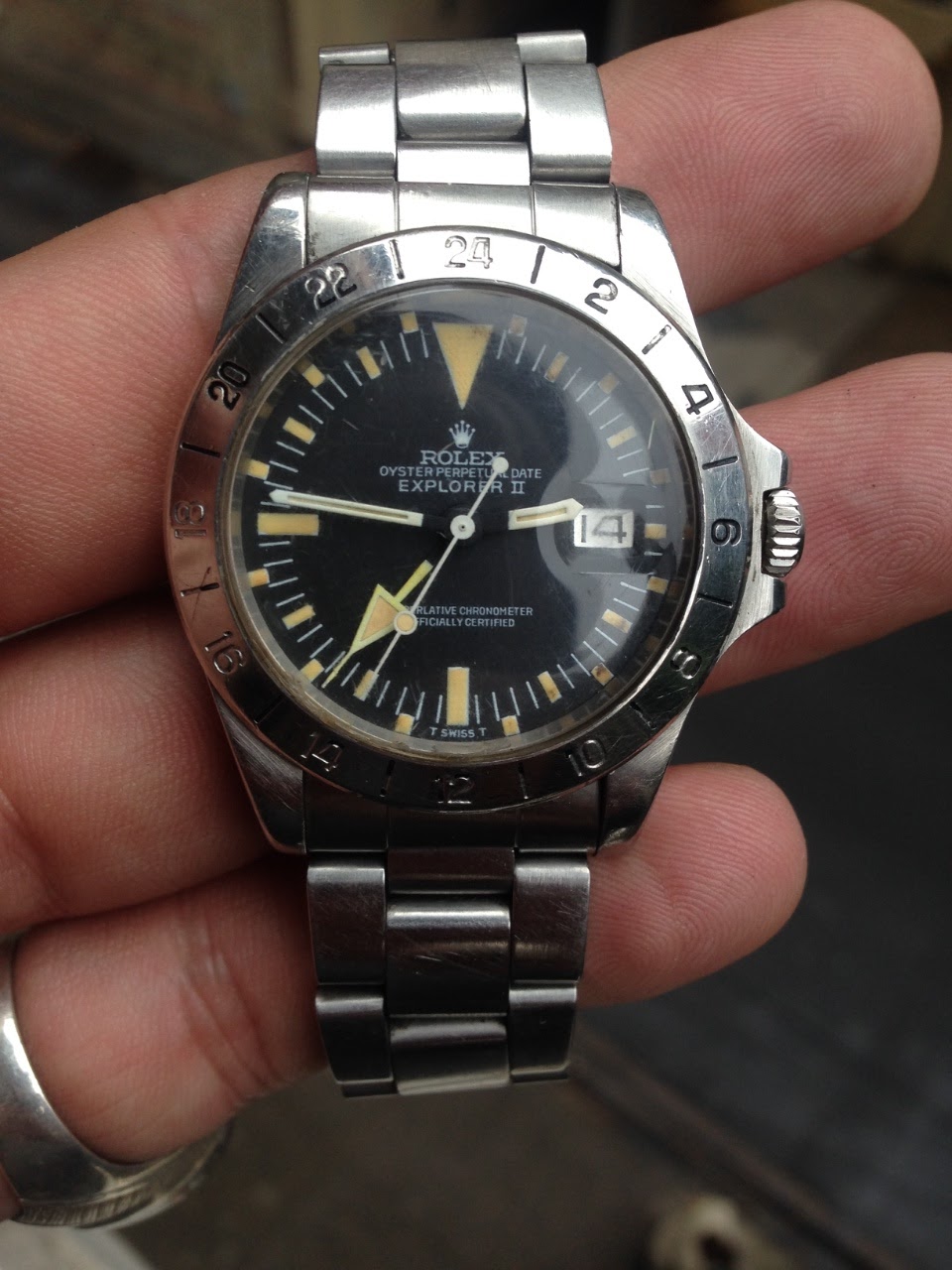 rolex 1655 albino