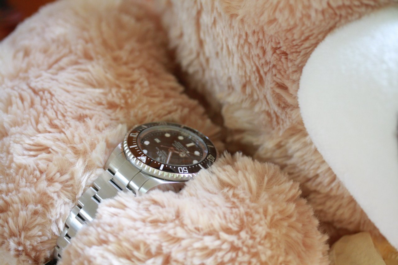 rolex teddy bear