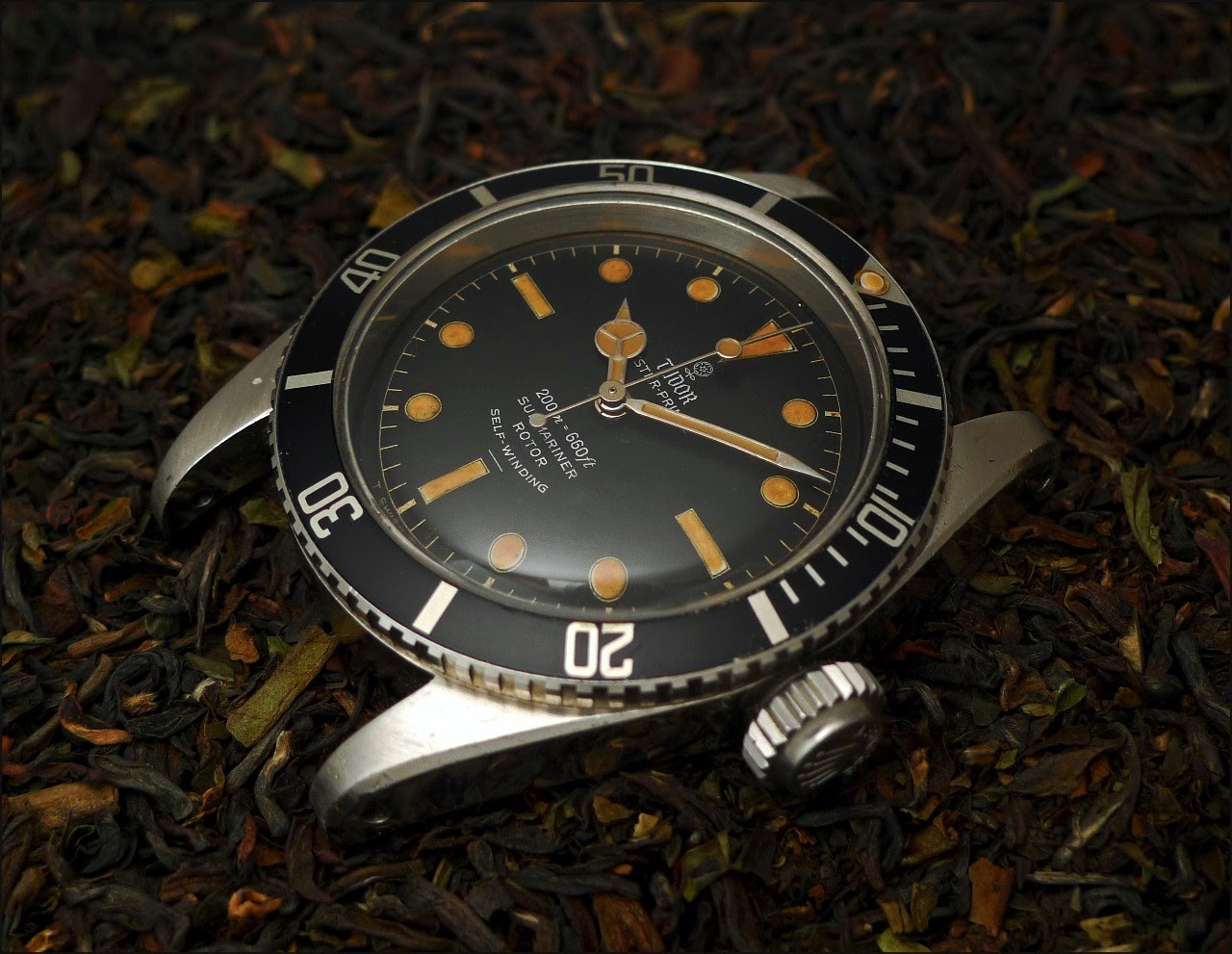 tudor 7924