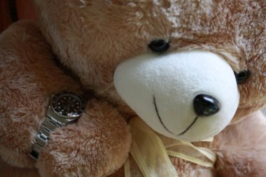 rolex teddy bear