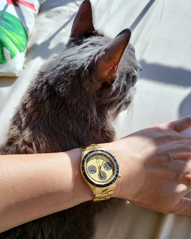 Rolex El Limoncito: Monday Wristshot