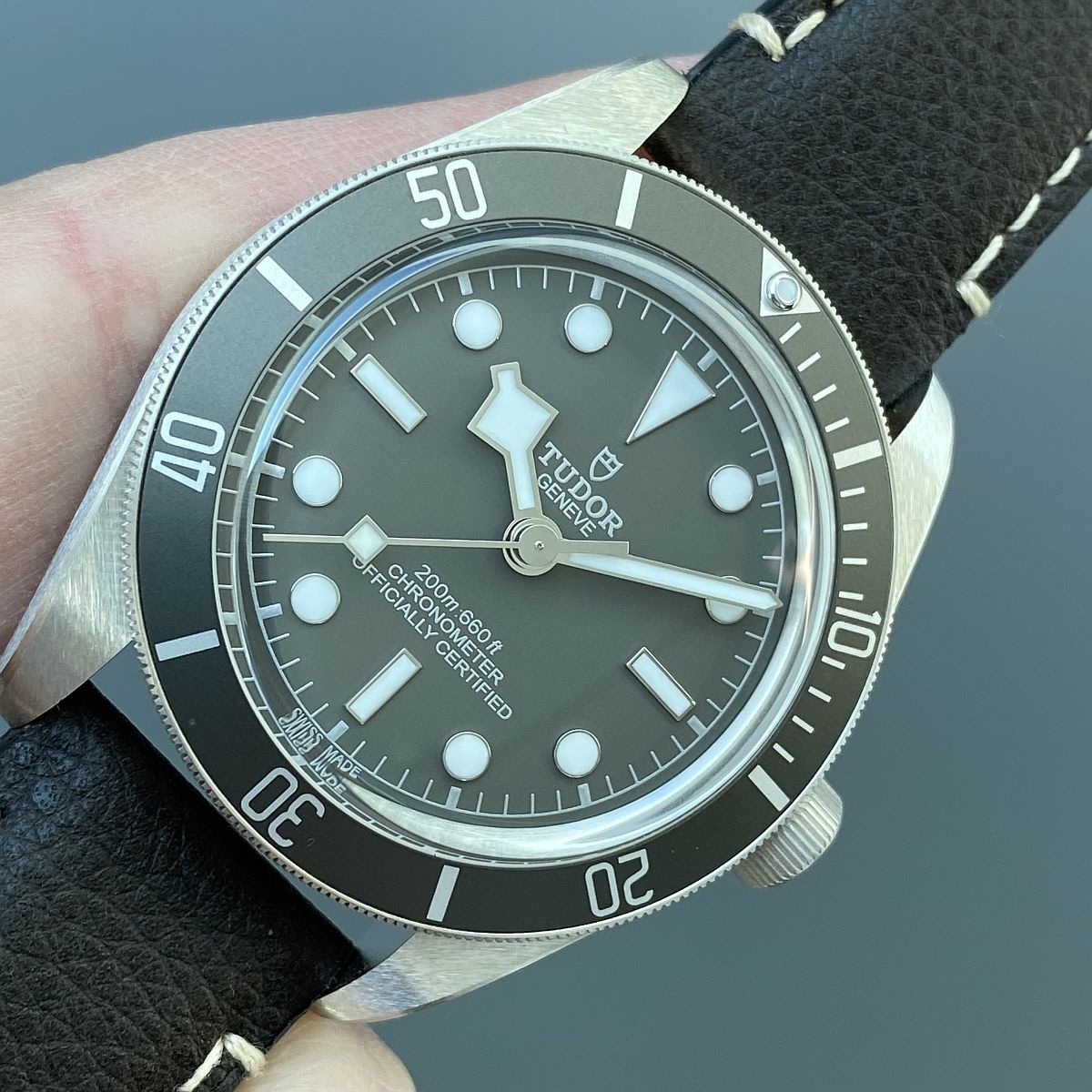 Silver Treasure: Testing the Tudor Black Bay Fifty Eight 925