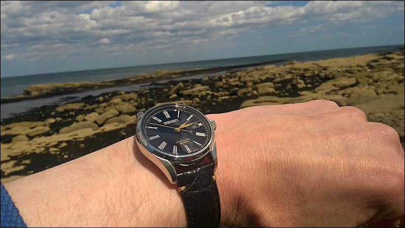 Seiko - Sarx029 - three months on