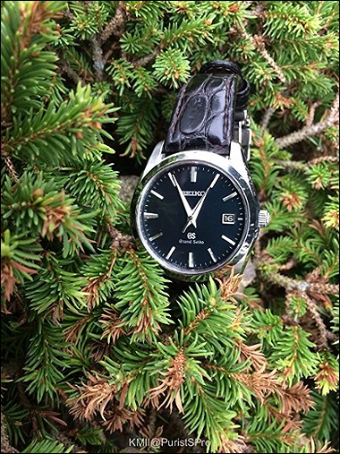 Grand Seiko SBGX097 Six-Month Review
