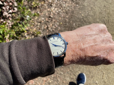 Seiko - Morning Walks with Seikos 1-50 Index