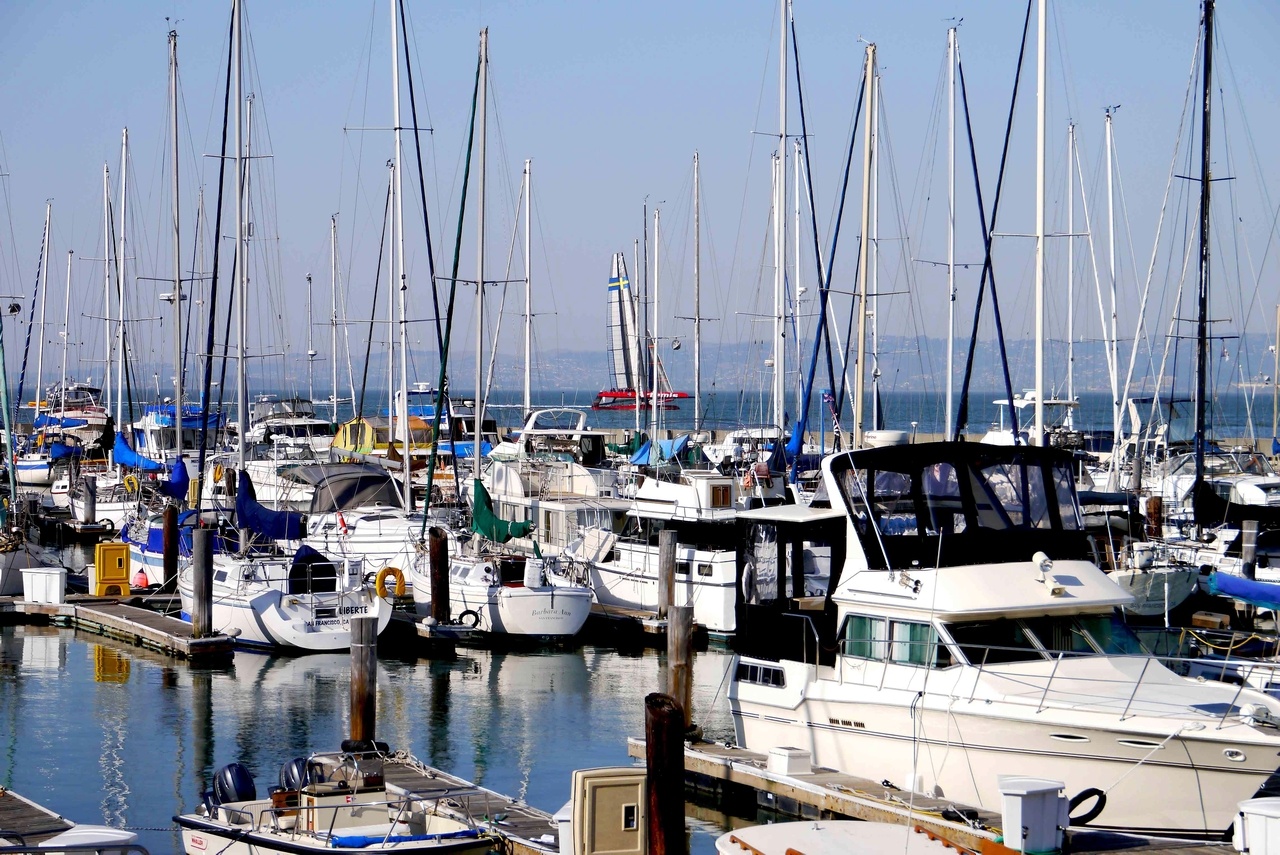 Boats - Pier 39. Note the Swedish America's cup Catamaran practising in background