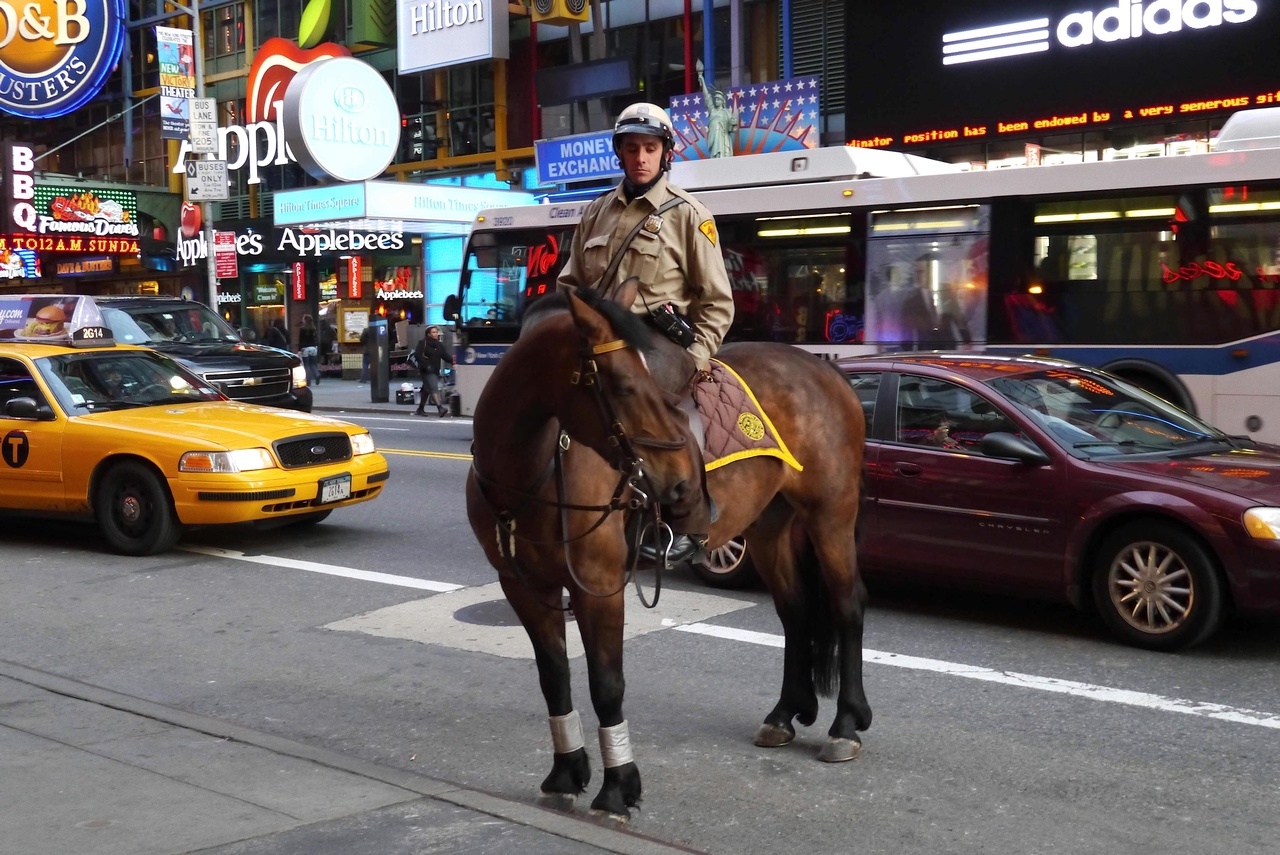 Times Square