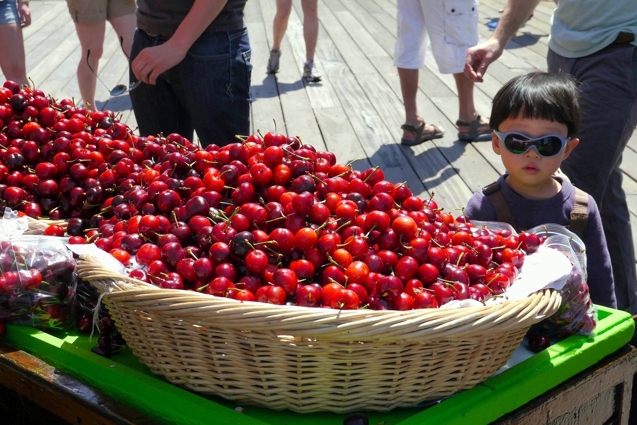 Plump cherries and boy with rosy cheeks